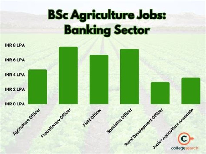 Can we get job in bank after BSc agriculture?