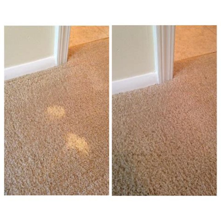 Does carpet dye really work?