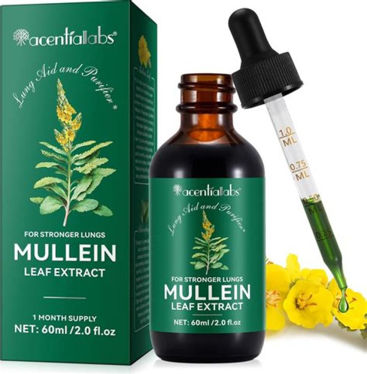 Does mullein have side effects?