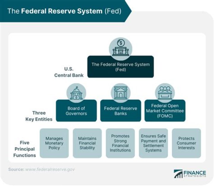 Does the Federal Reserve System provide financial services to the federal government?