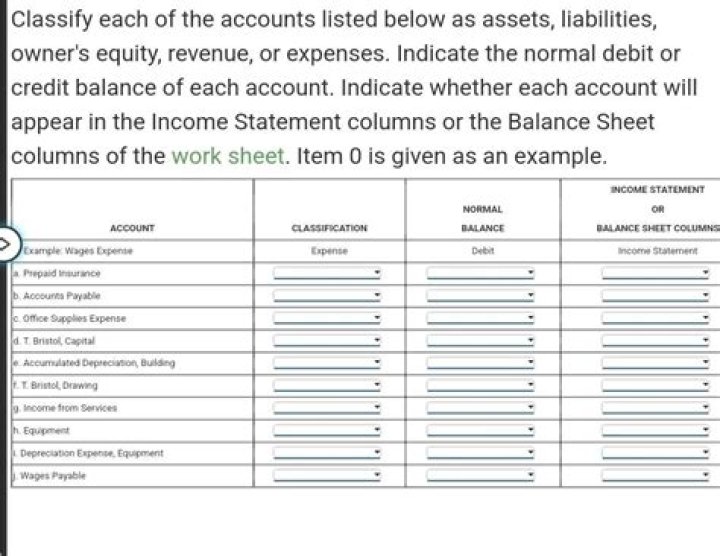 How do you classify accounting information?