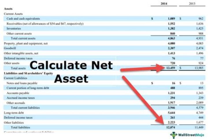 What are net domestic assets?