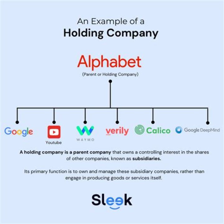 What are the assets of a holding company?