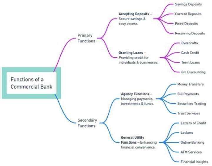 What are the functions of the commercial bank?
