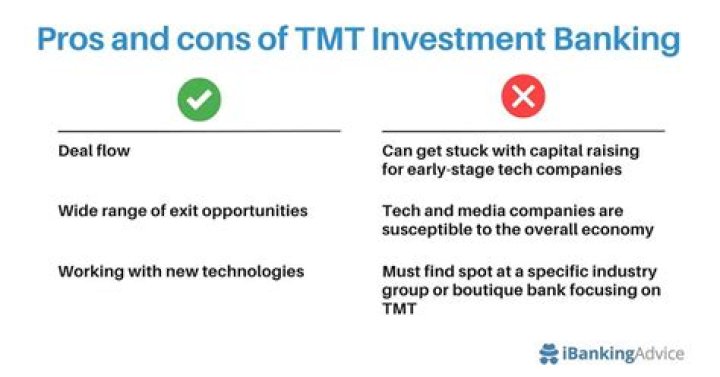 What does TMT mean in investment banking?