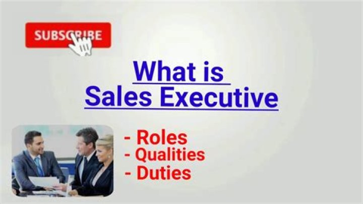 What is sales executive duty?