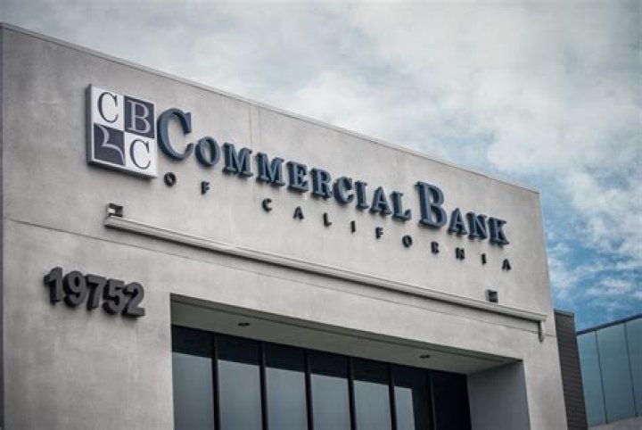 What is the role of a commercial bank?