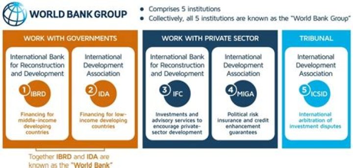 What is the role of World Bank in developing countries?