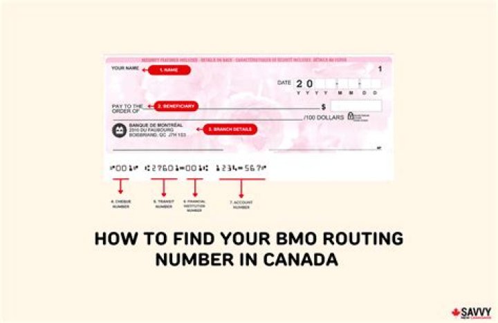 Where can I find my BMO branch number?